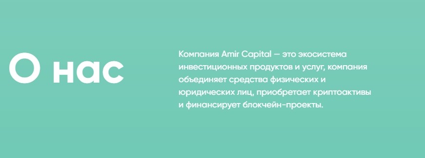 О компании Amir Capital