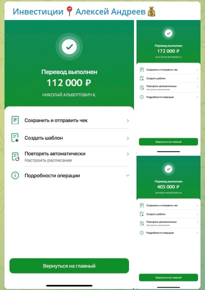 Инвестиции в проект Алексея Андреева