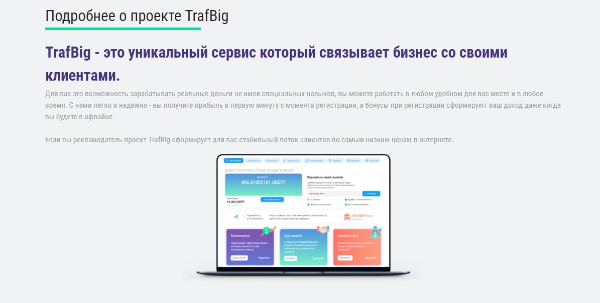 Сайт компании TrafBig