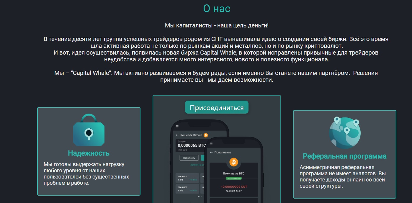 Информация о проекте Capital Whale io