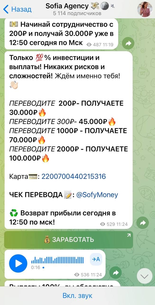 Проект Sofymoney