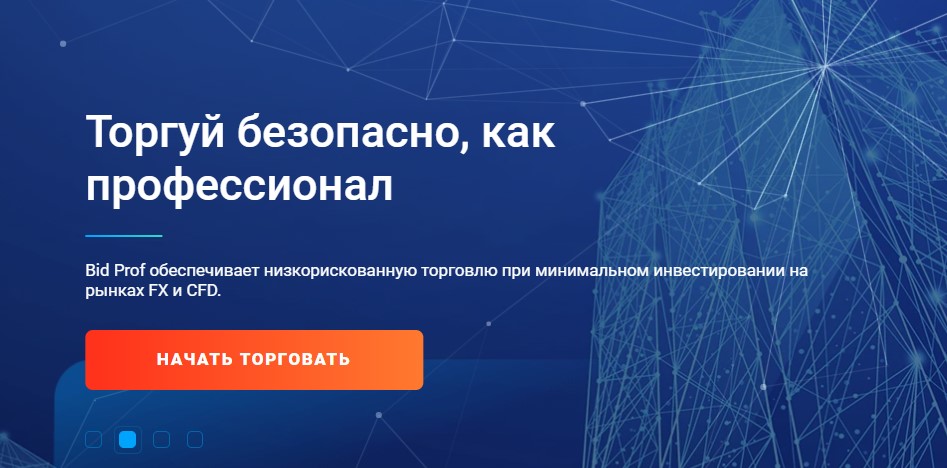 Брокер Bidprof.com