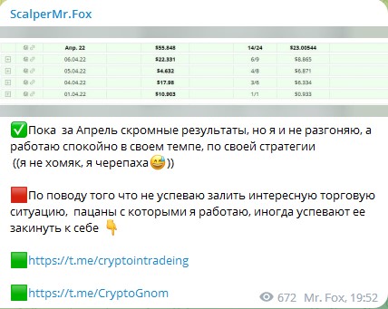 Отчет ScalperMr.Fox по работе