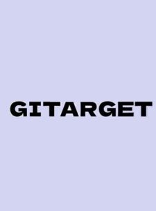 Gitarget проект