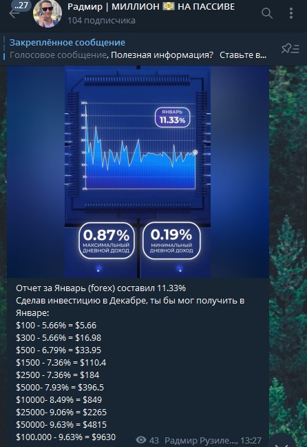 Телеграм Radmir invest статистика