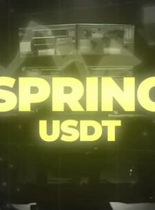 SPRING USDT Телеграмм канал