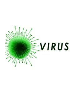 Virus криптовалюта