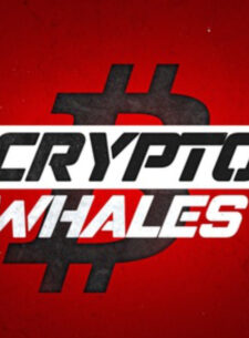 Crypto Whales - канал трейдера