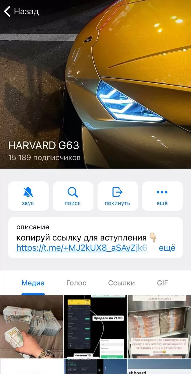 Информация о канале Телеграм канал - Harvard G63