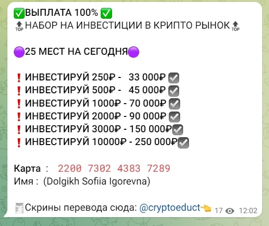 Проект София Крипто Прибыль