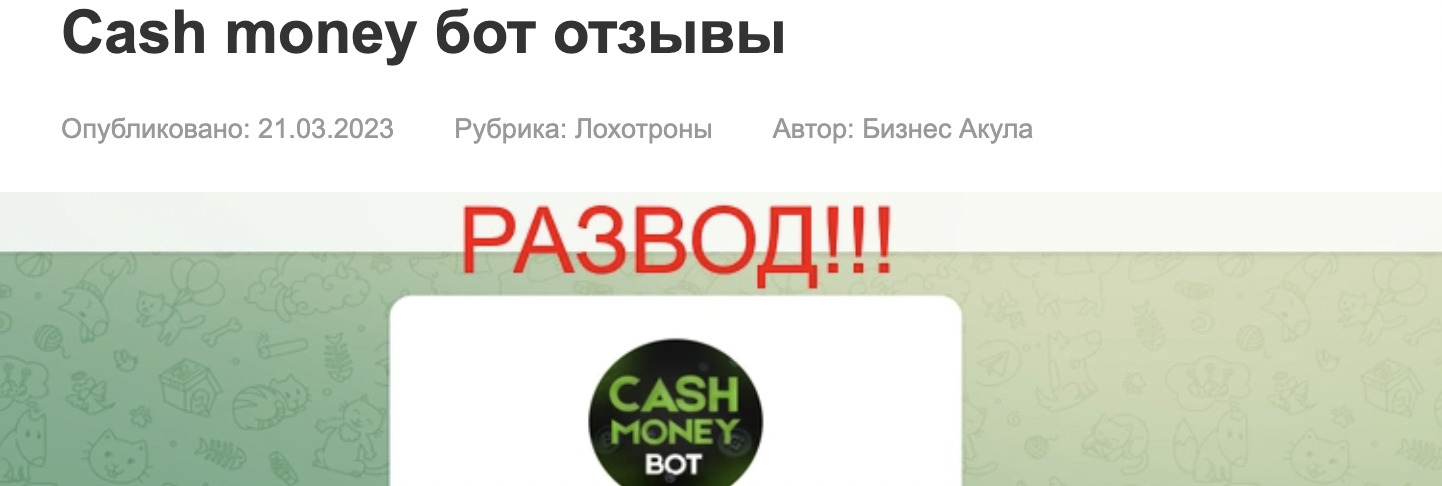 Cashmoneygo – финансовая пирамида