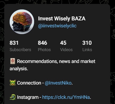 Телеграмм-канал Invest Wisely BAZA 