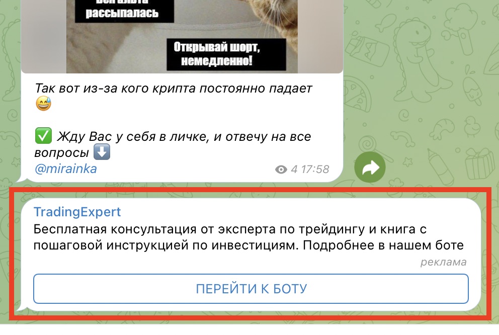 Клуб трейдера Анастасии бот