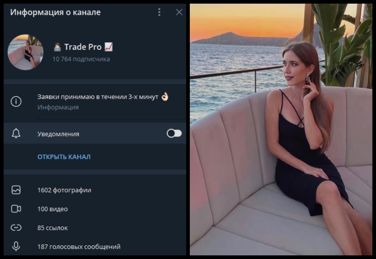 Trade Pro информация о канале