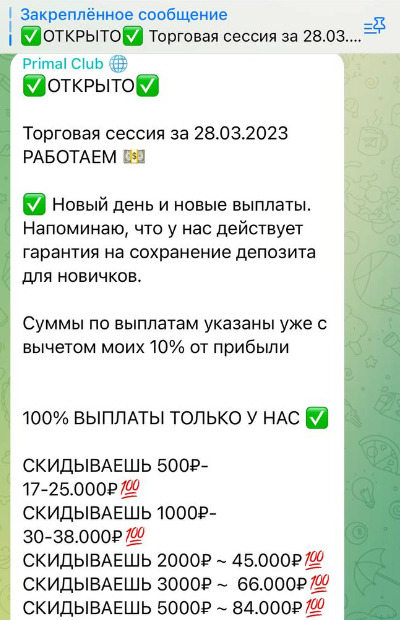 Условия сотрудничества на Проекте Primal Club