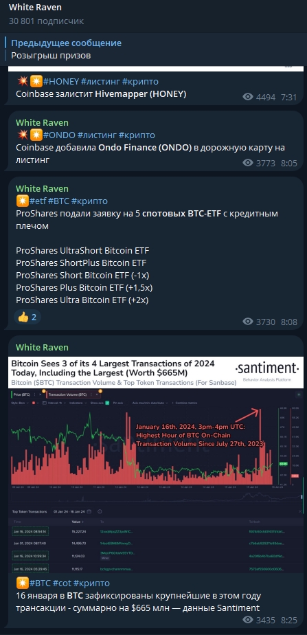 White Raven btc